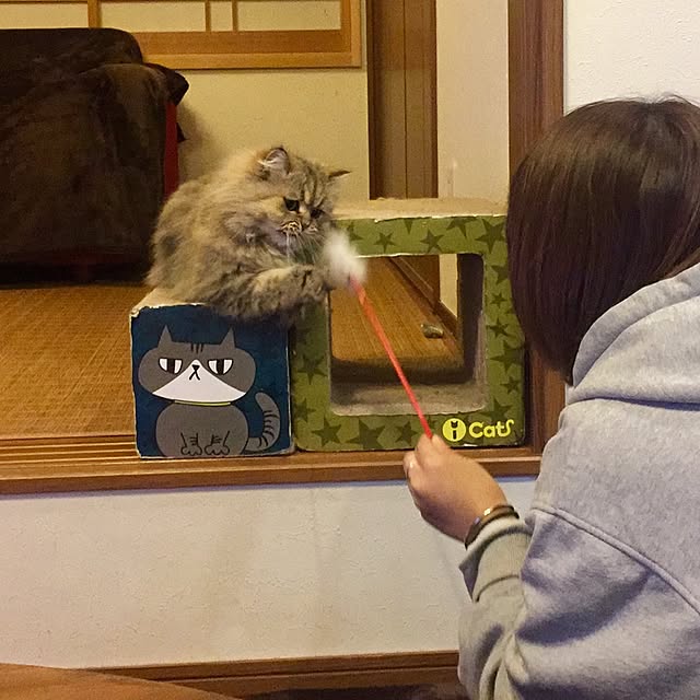 butachanさんの実例写真