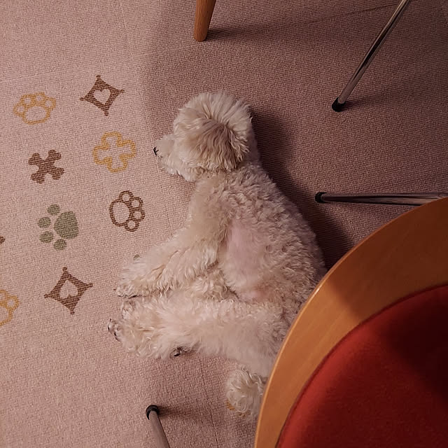 snuffyさんの実例写真