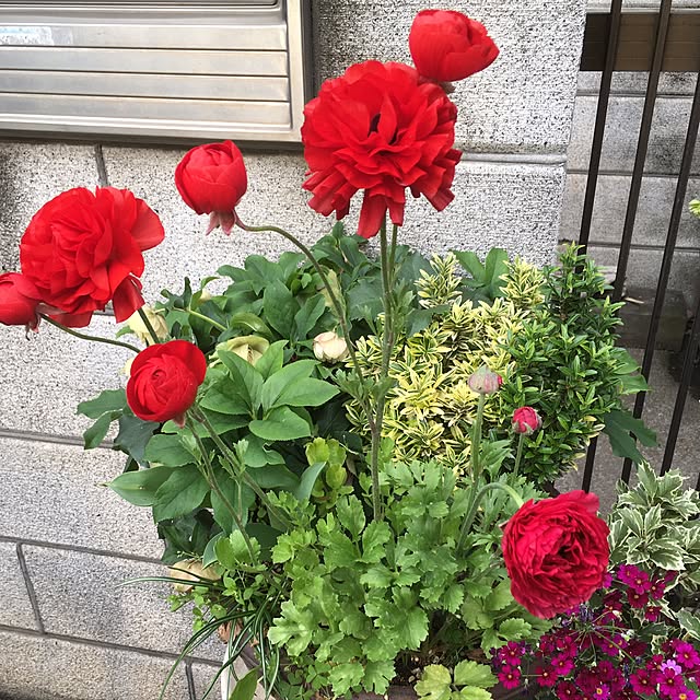 Ryokoさんの実例写真