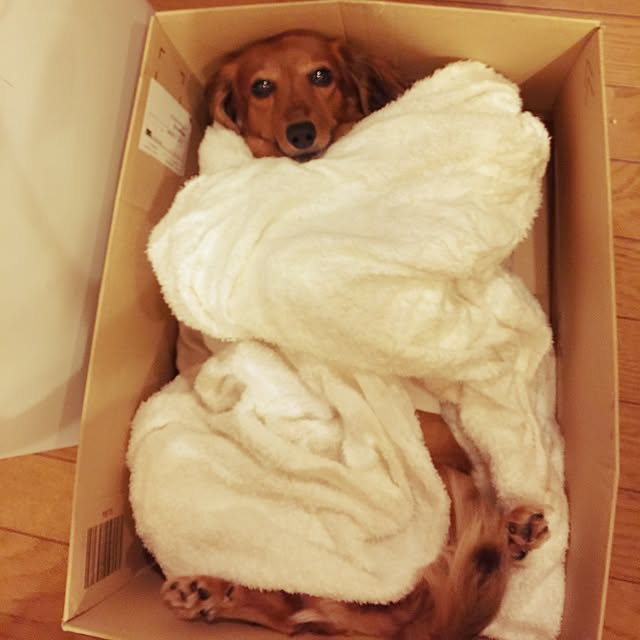 Eikoさんの実例写真