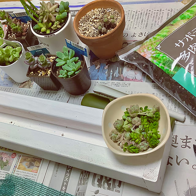 haruminさんの部屋