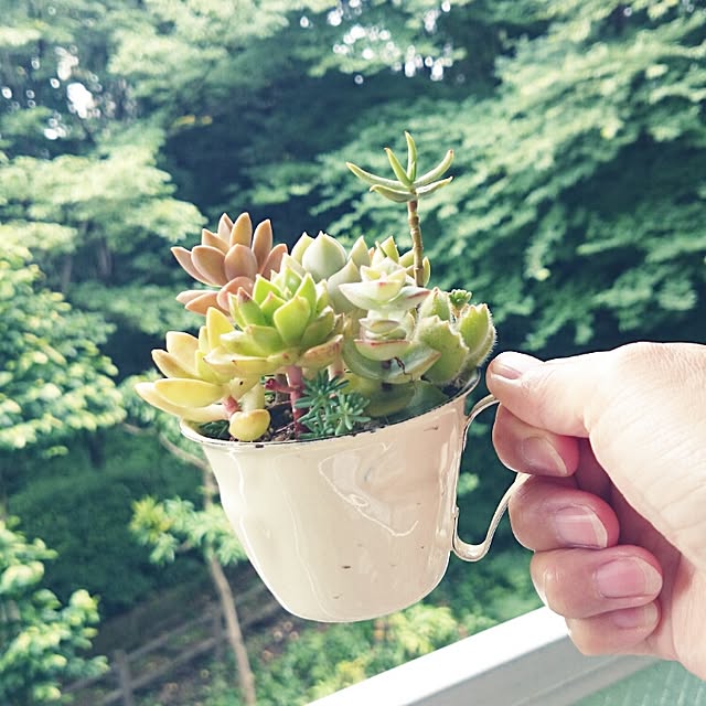 rookier05さんの実例写真