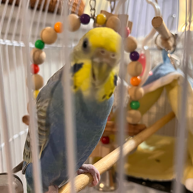 Atsukoさんの部屋