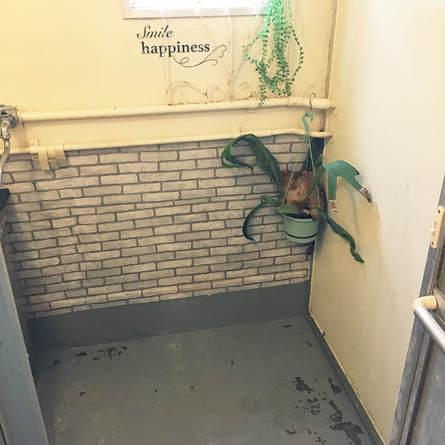 Rabbitさんの実例写真
