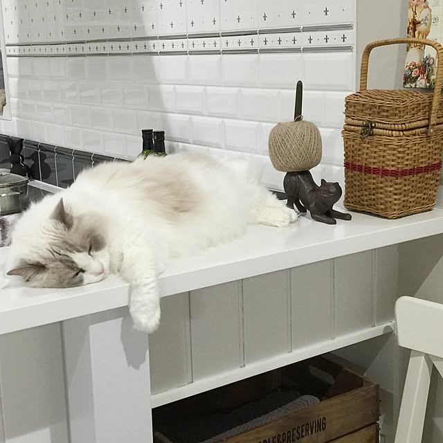 yuchiさんの実例写真