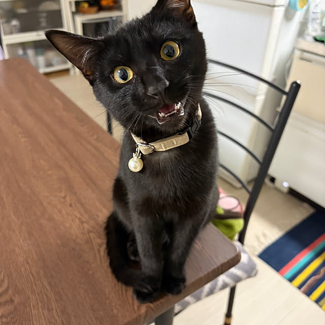 makiさんの実例写真