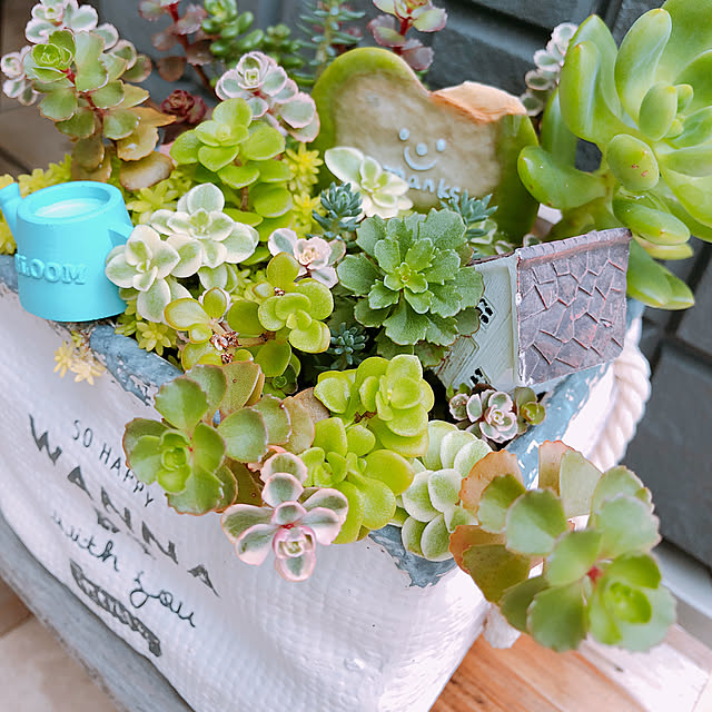 craneさんの実例写真