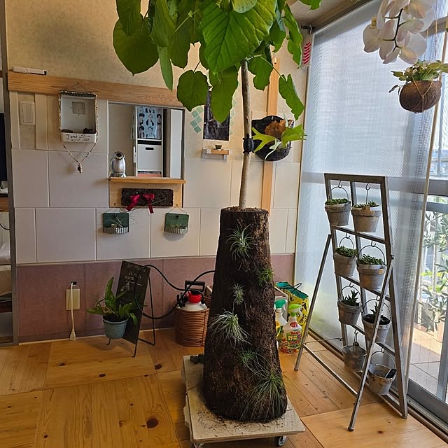 kunyさんの実例写真
