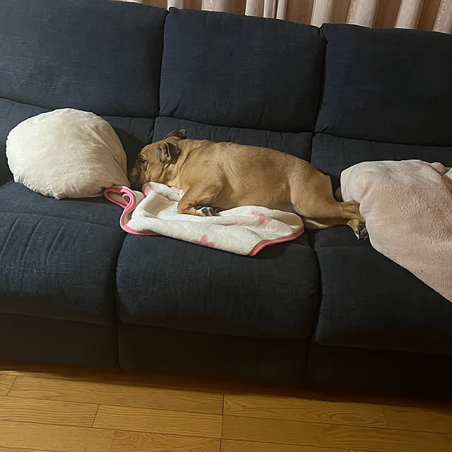chi_gogaさんの実例写真