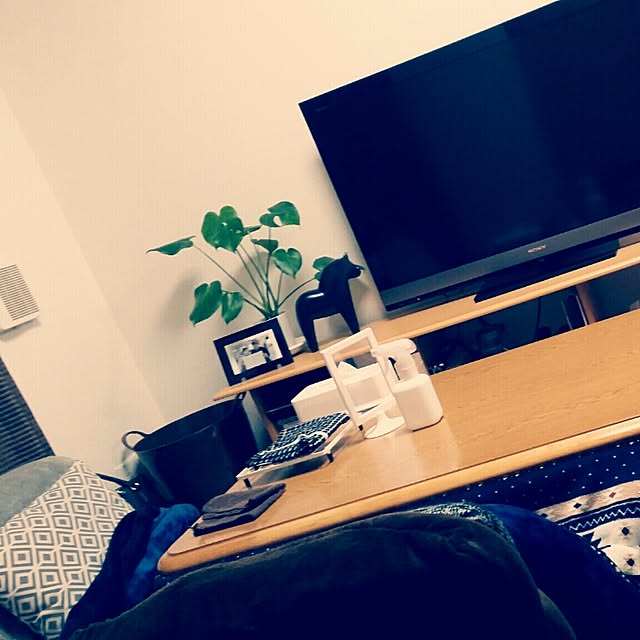 ayuさんの実例写真