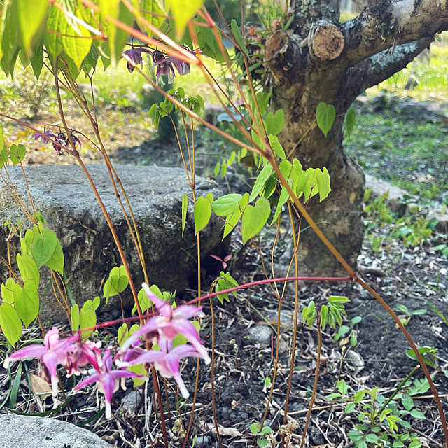 mamanさんの部屋