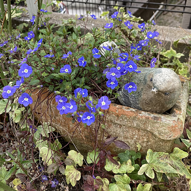 min_nimさんの実例写真