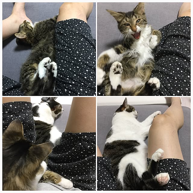 yuchiさんの実例写真