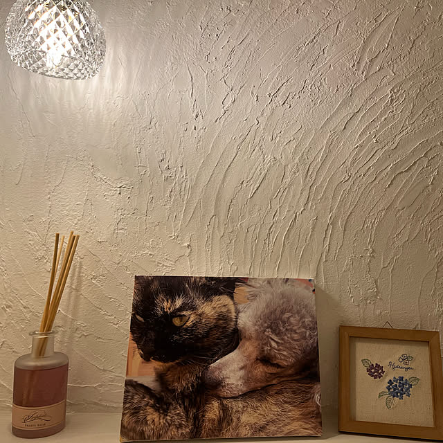 aikaさんの実例写真