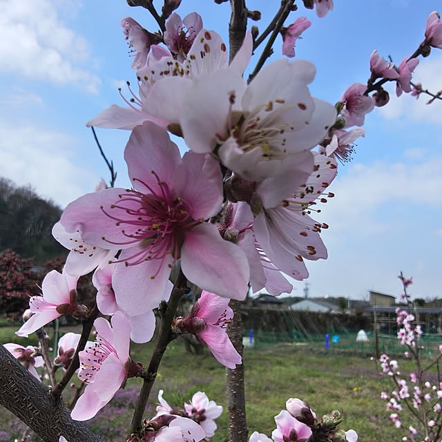 Rubiconさんの実例写真