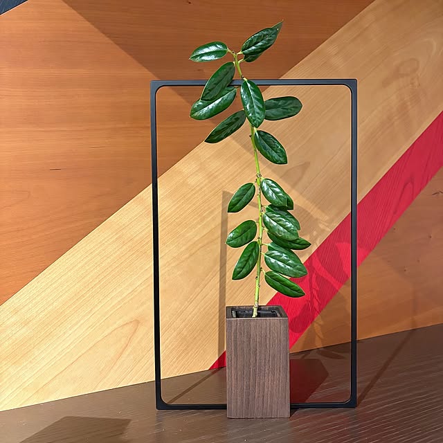 WAILEAさんの実例写真