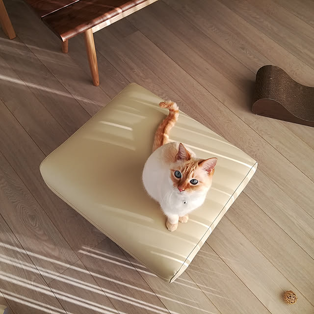 nikeyamaさんの実例写真