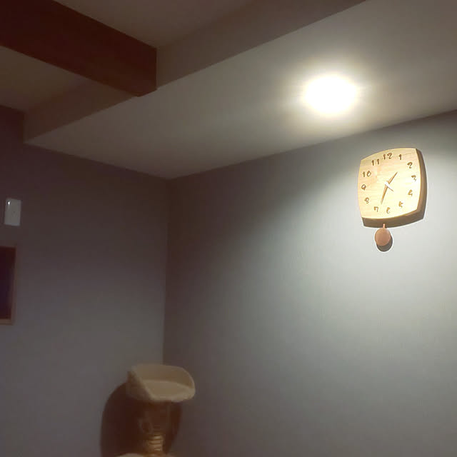 aquaさんの実例写真