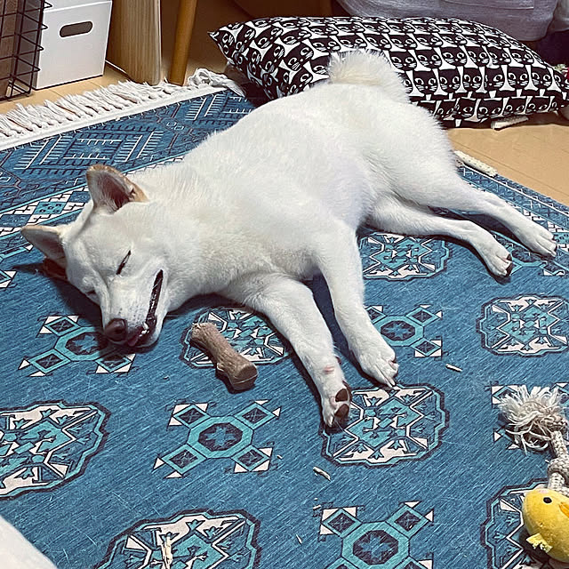 mo-nosukeさんの実例写真