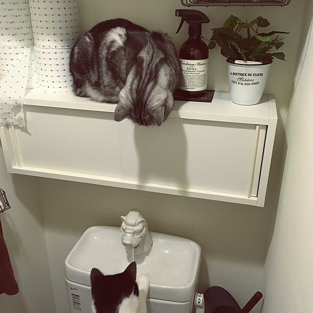 mikomaruさんの実例写真