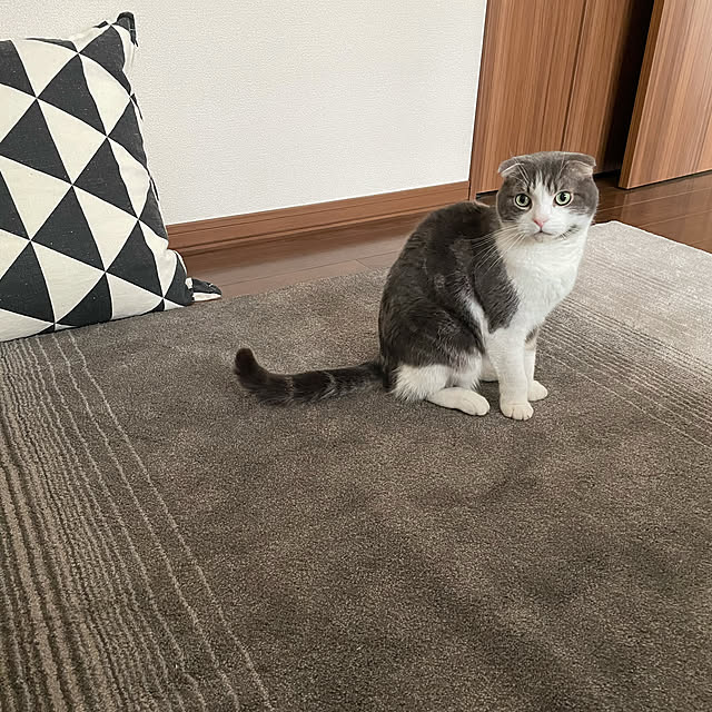 tansukeさんの実例写真