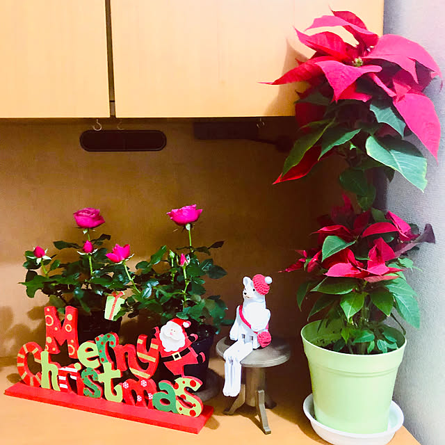 hanachanさんの部屋