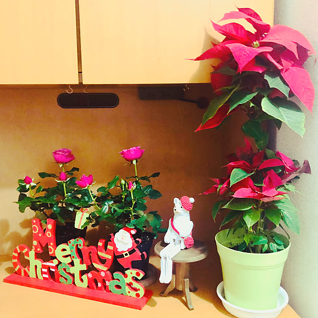 hanachanさんの部屋