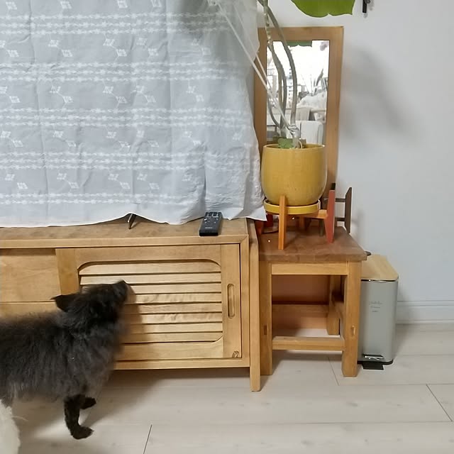 tomomiさんの部屋