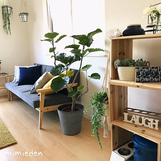 mimiedenさんの実例写真