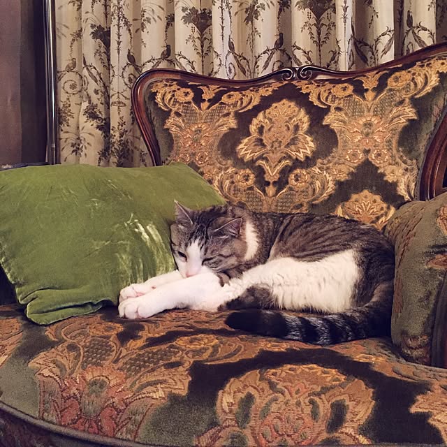 emmyyさんの実例写真