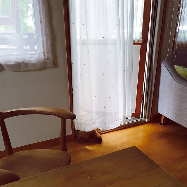 bigsunny0103さんの実例写真