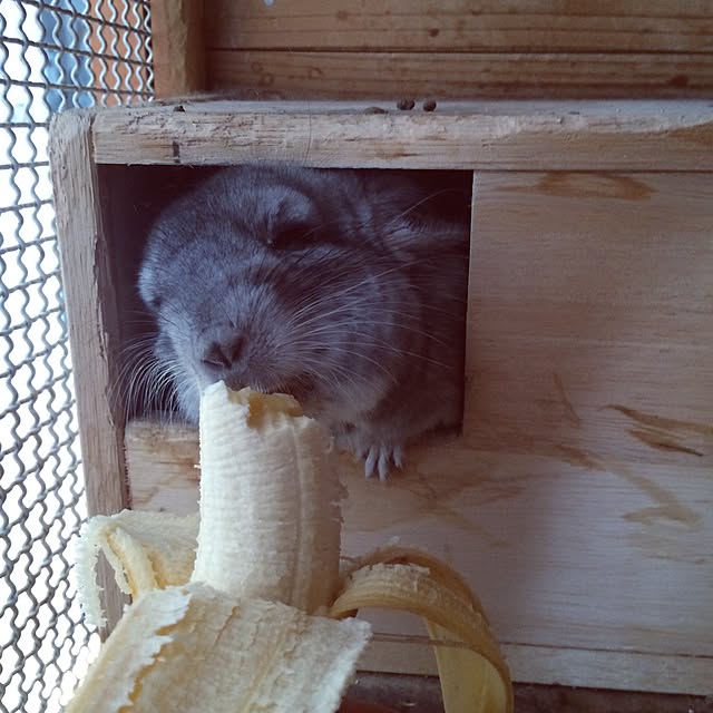 otomatuさんの実例写真