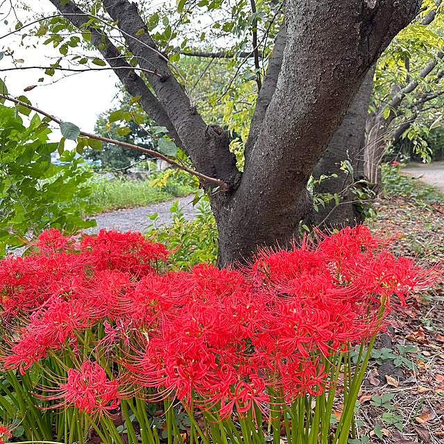 mizucchiさんの部屋