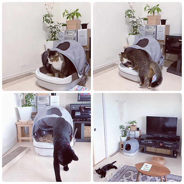nekomiさんの実例写真