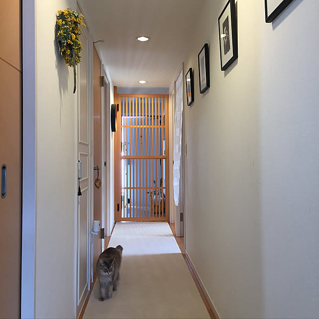 shihoさんの実例写真