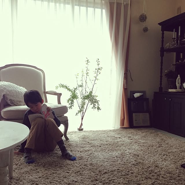 miiさんの実例写真