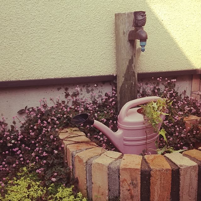 kiyakkoさんの実例写真