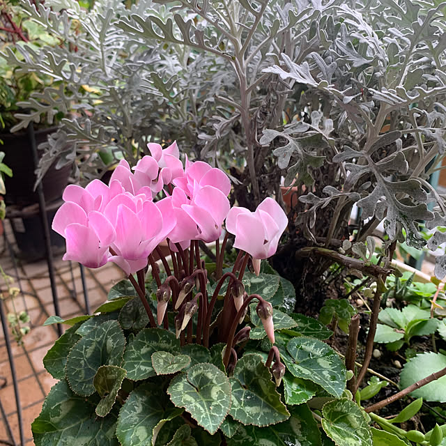 Aqettyさんの部屋