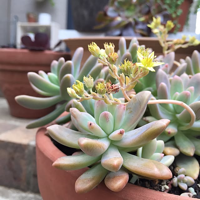 Junran50さんの実例写真