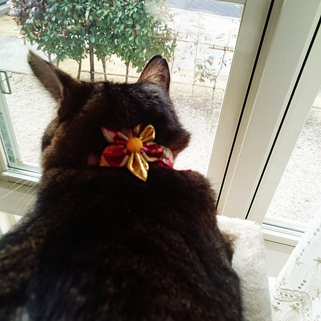 lilyさんの実例写真