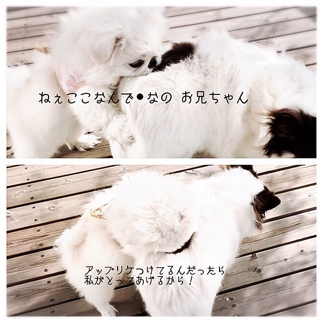 hana729さんの実例写真