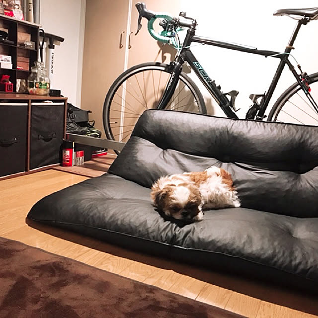 hikaruさんの実例写真