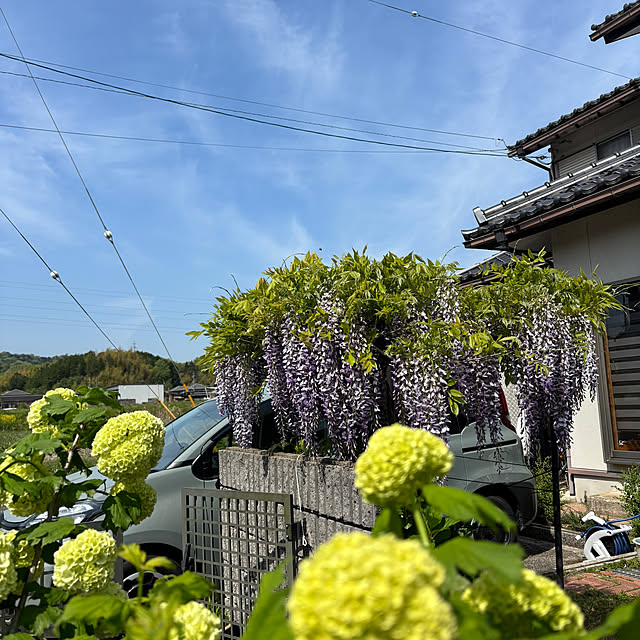 cyaroさんの部屋