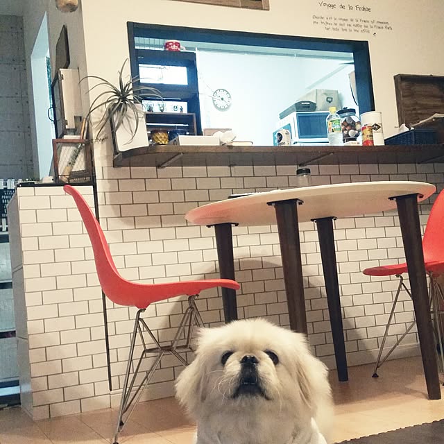 yukagomaさんの実例写真