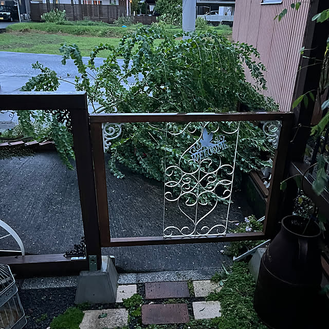 mayumiさんの部屋