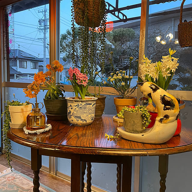 shin0719さんの部屋