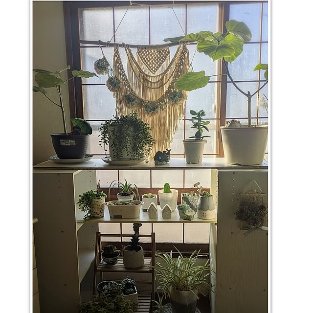 monnさんの実例写真