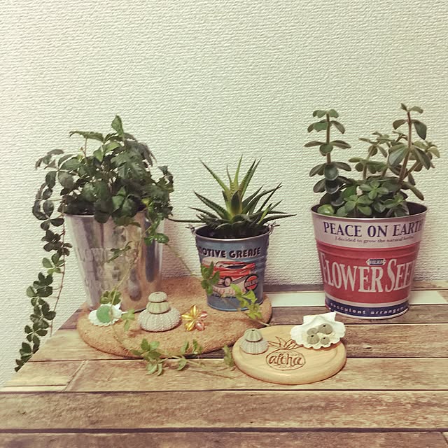 momomoさんの実例写真