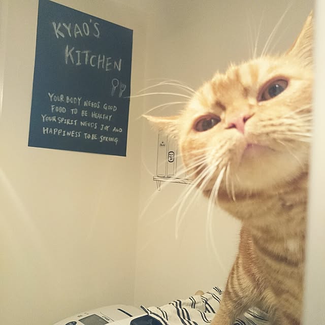 kyaoさんの実例写真