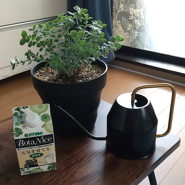 noaさんの実例写真